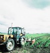 Land en tuinbouwsector SOG